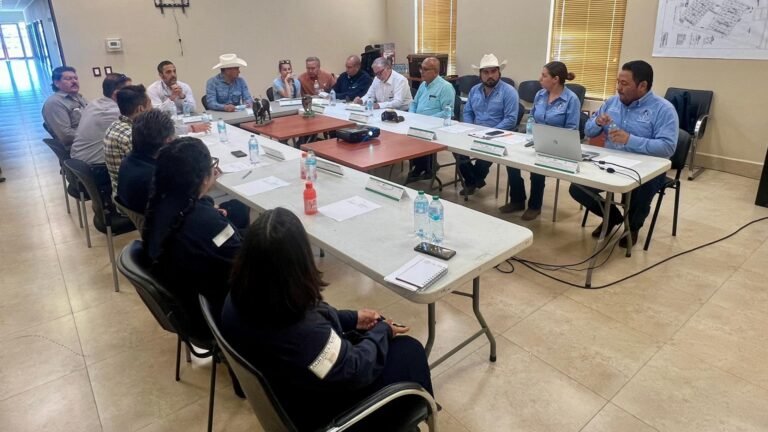 Fortalecen ganadería de Nuevo León con plan para exportar a EE.UU