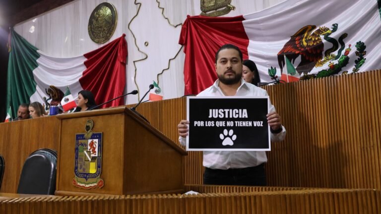 Congreso propone endurecer sanciones por maltrato animal