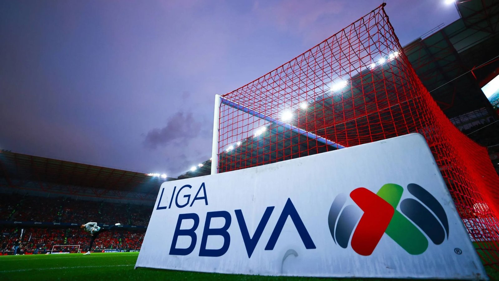 Plecas e informacion (66)