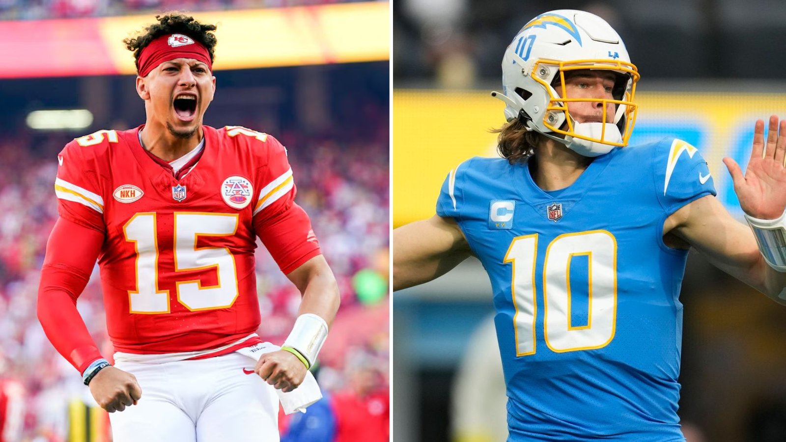 Plecas e informacion (68)