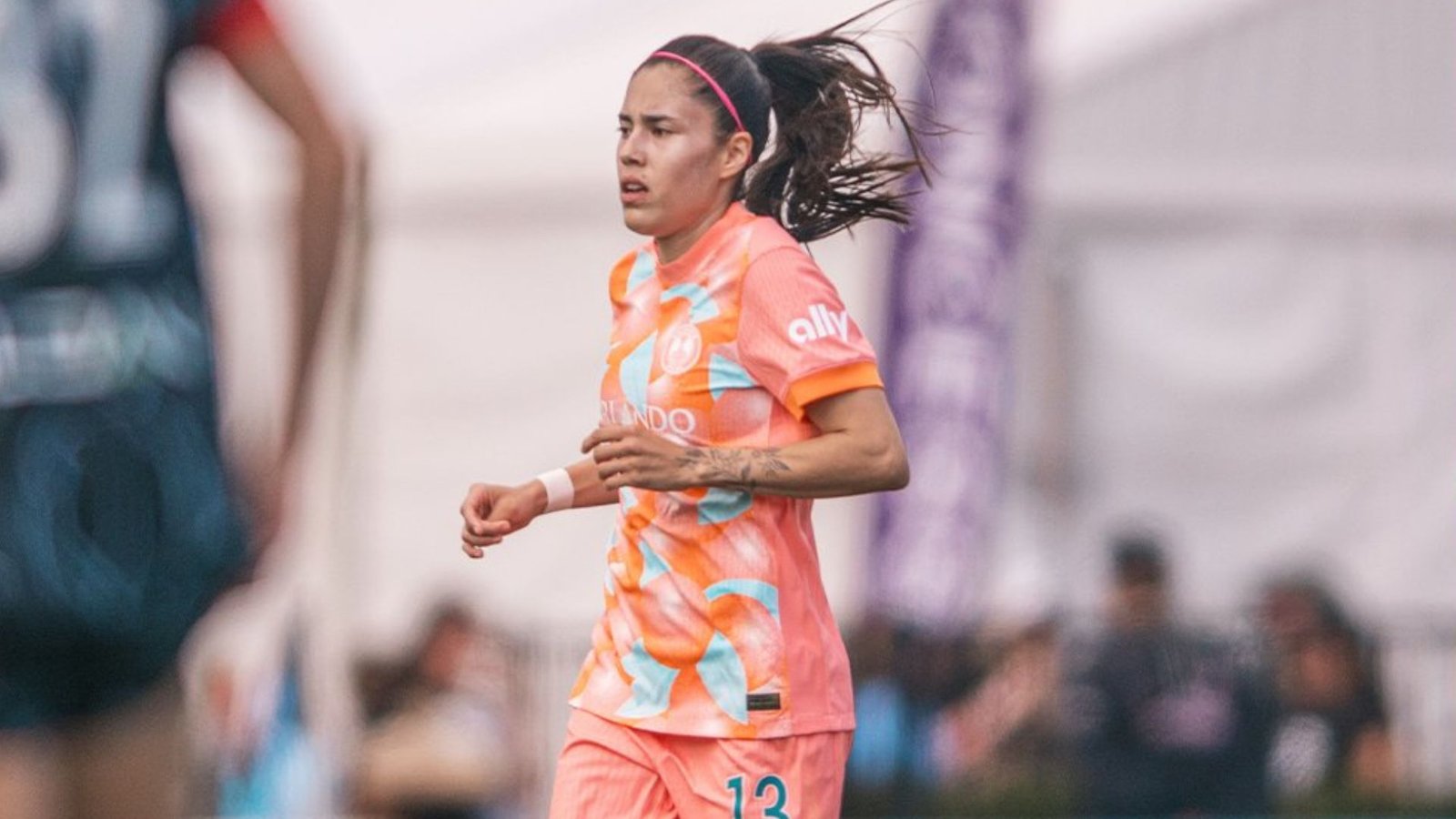 Plecas e informacion (72)