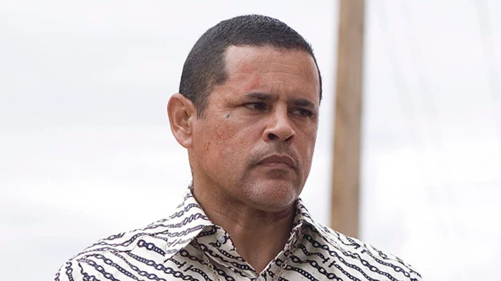 Plecas e informacion (84)