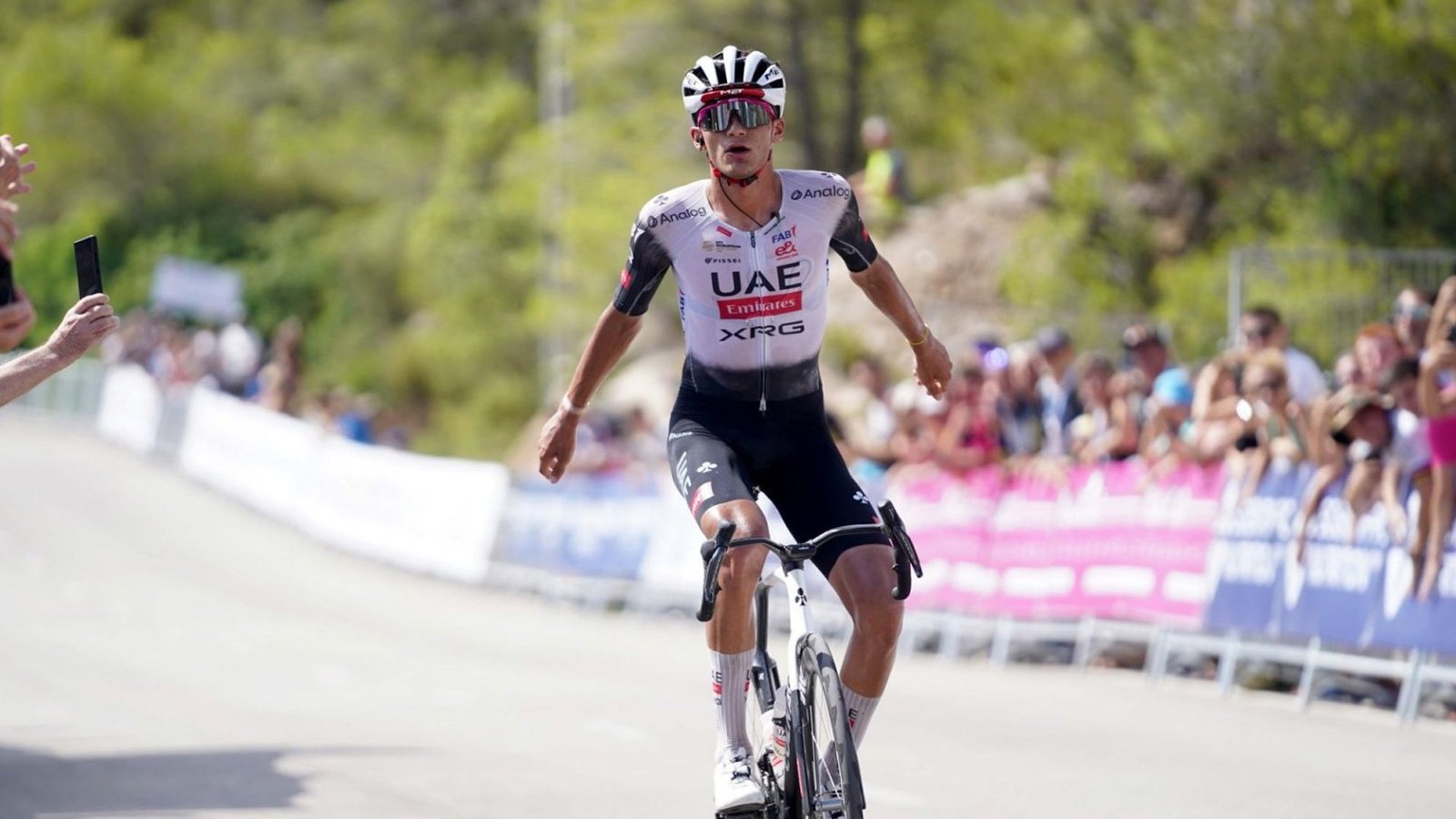 Plecas e informacion (90)