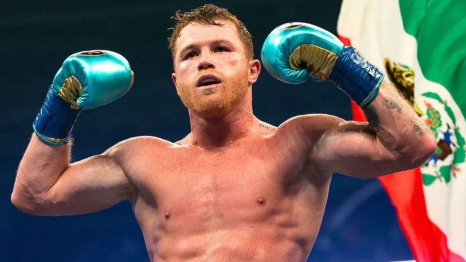 Plecas e informacion (95)