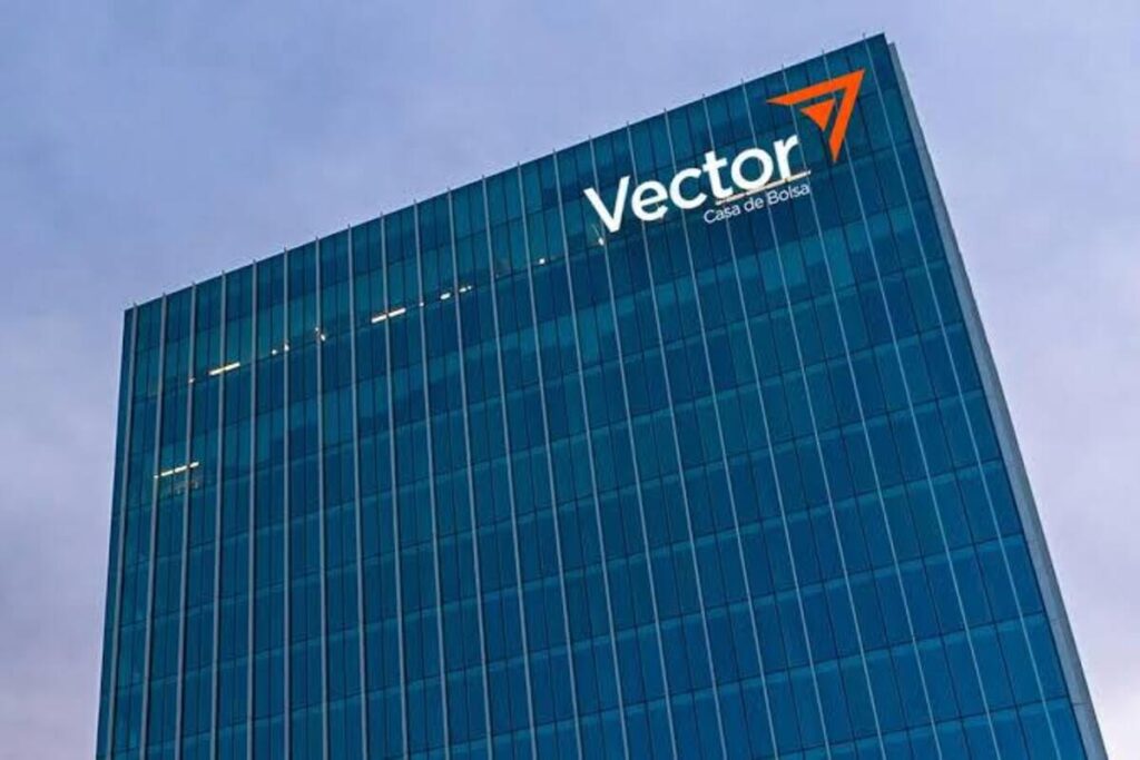 Vector-Casa-de-Bolsa-1