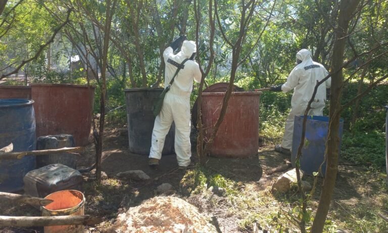 WhatsApp Image 2025-09-08 at 10.19.29