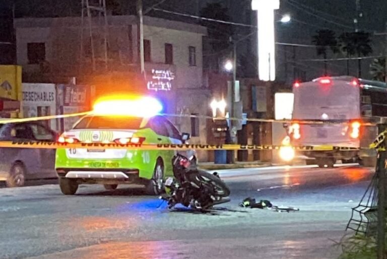 WhatsApp Image 2025-09-27 at 11.39.45