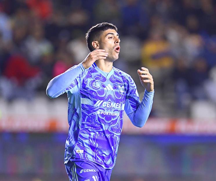 202510228969-ade8bc88-focus-min0.17-0.47-745-622