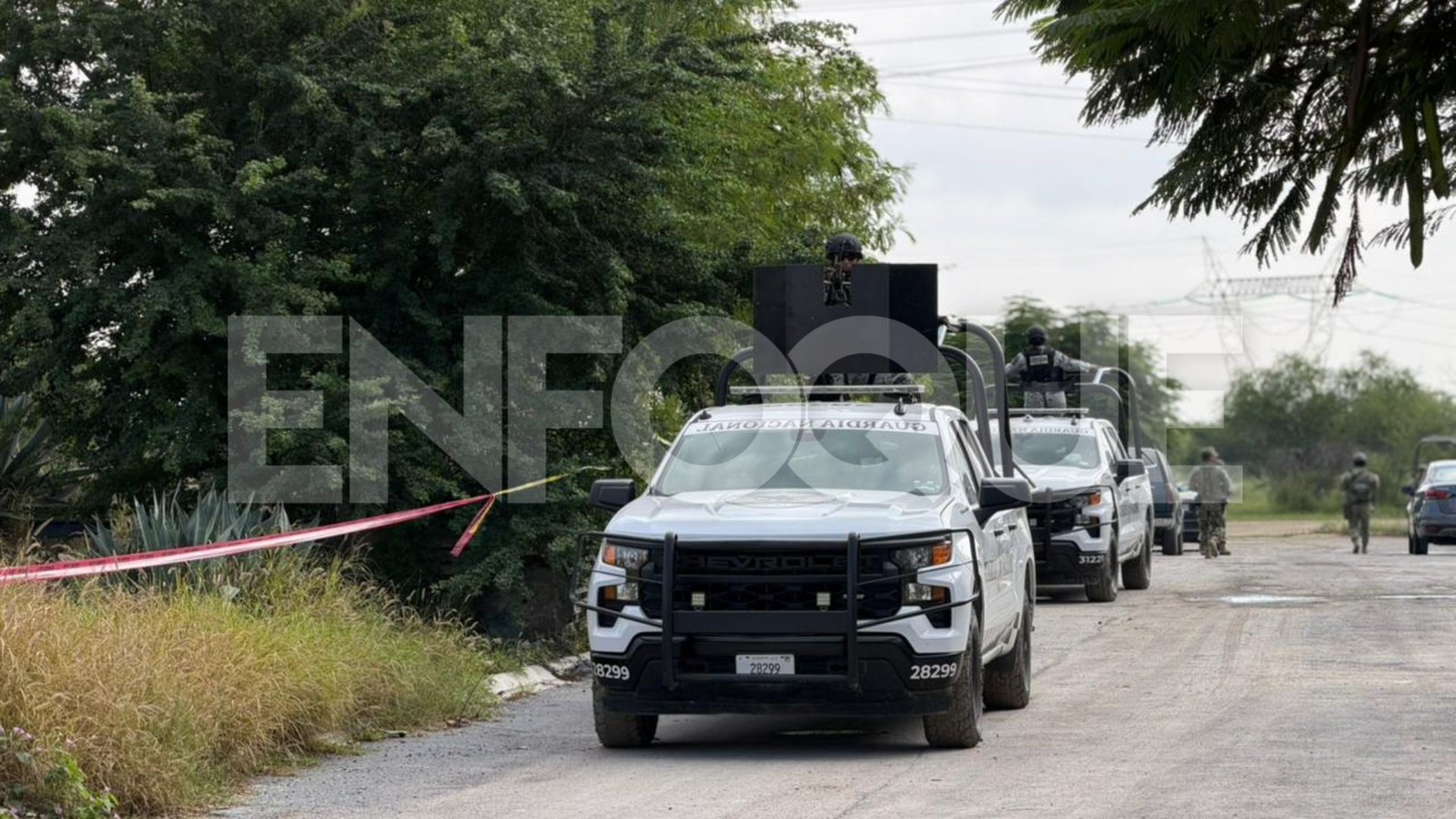 Plecas e informacion