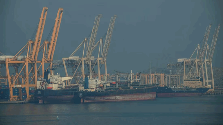 Plecas e informacion (1)