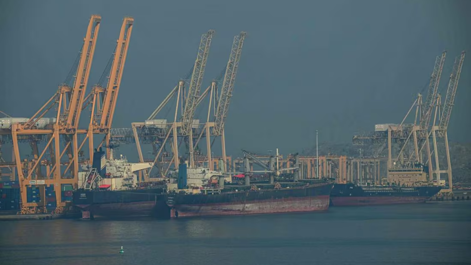 Plecas e informacion (1)