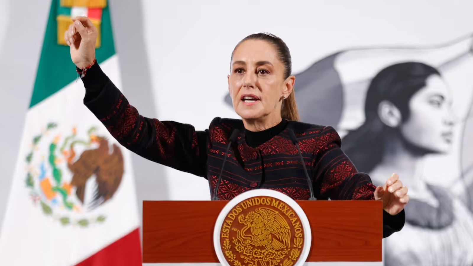 Plecas e informacion (2)