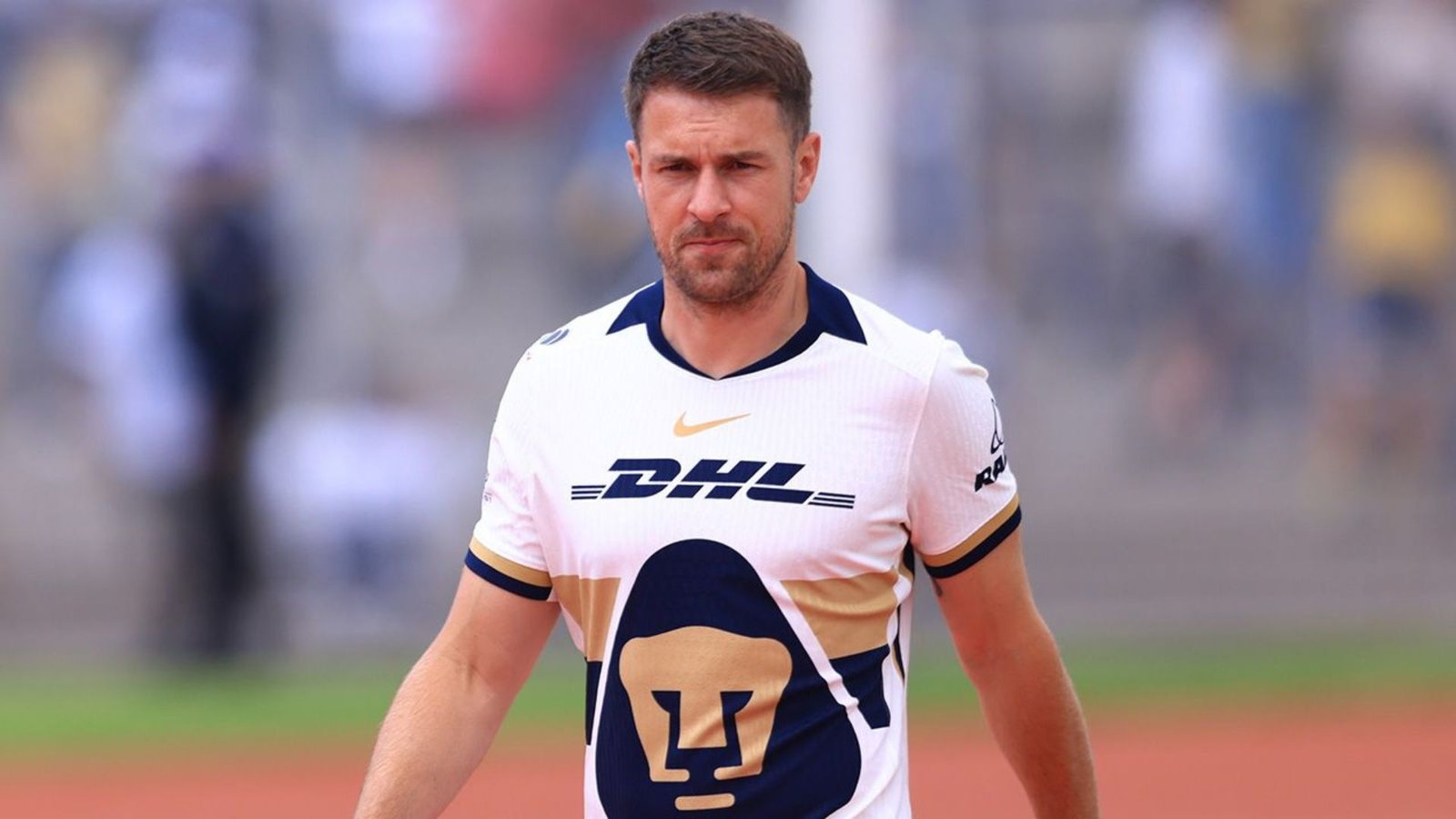 Plecas e informacion - 2025-10-01T092513.420