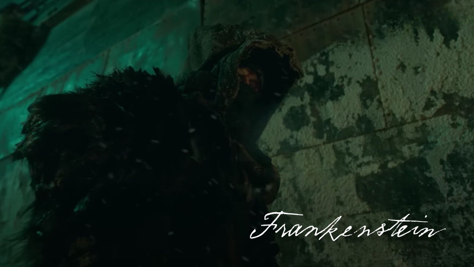 Plecas e informacion - 2025-10-01T111934.374