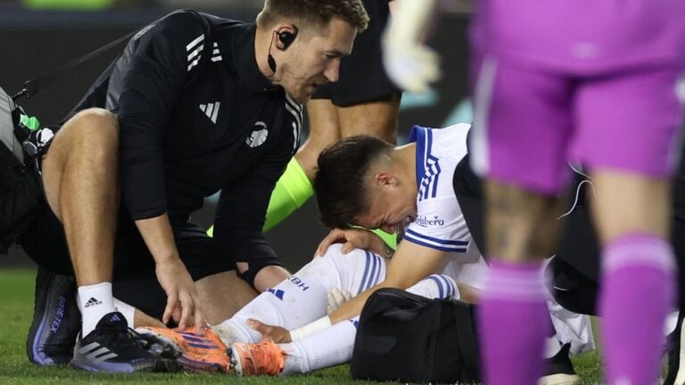 Plecas e informacion - 2025-10-02T112755.485