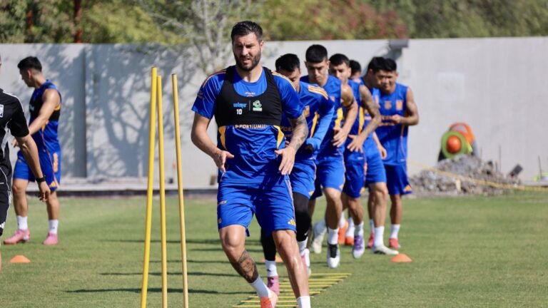 Plecas e informacion - 2025-10-03T133923.466