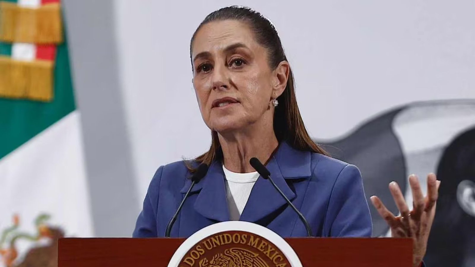 Plecas e informacion - 2025-10-06T101131.292