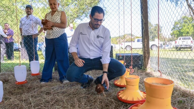 Impulsa Santiago programa CRIA para producir y vender huevo orgánico