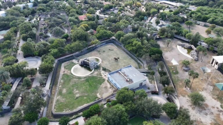 Pide Congreso blindar La Pastora para evitar proyectos inmobiliarios