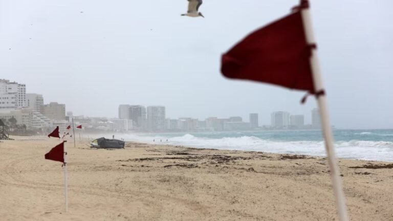 Plecas e informacion - 2025-10-07T094756.308