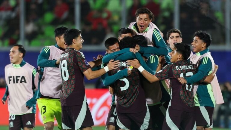 Plecas e informacion - 2025-10-08T095550.131