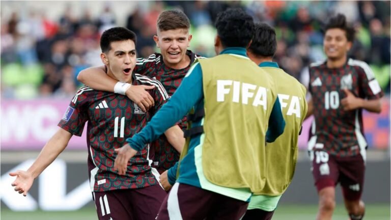 Plecas e informacion - 2025-10-08T113416.185