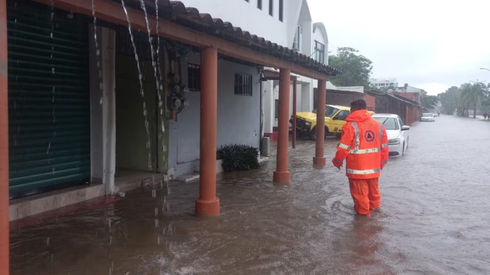 Plecas e informacion - 2025-10-10T094351.325