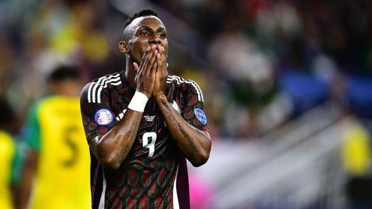 Plecas e informacion - 2025-10-11T085606.281