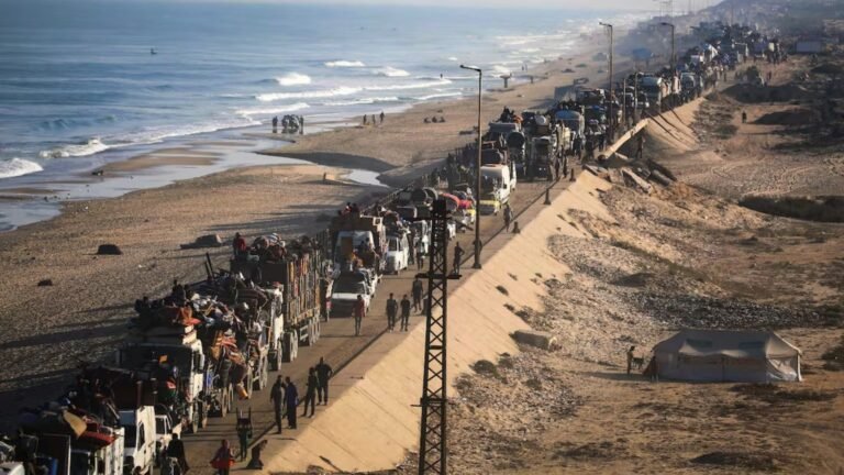 Plecas e informacion - 2025-10-11T093231.315