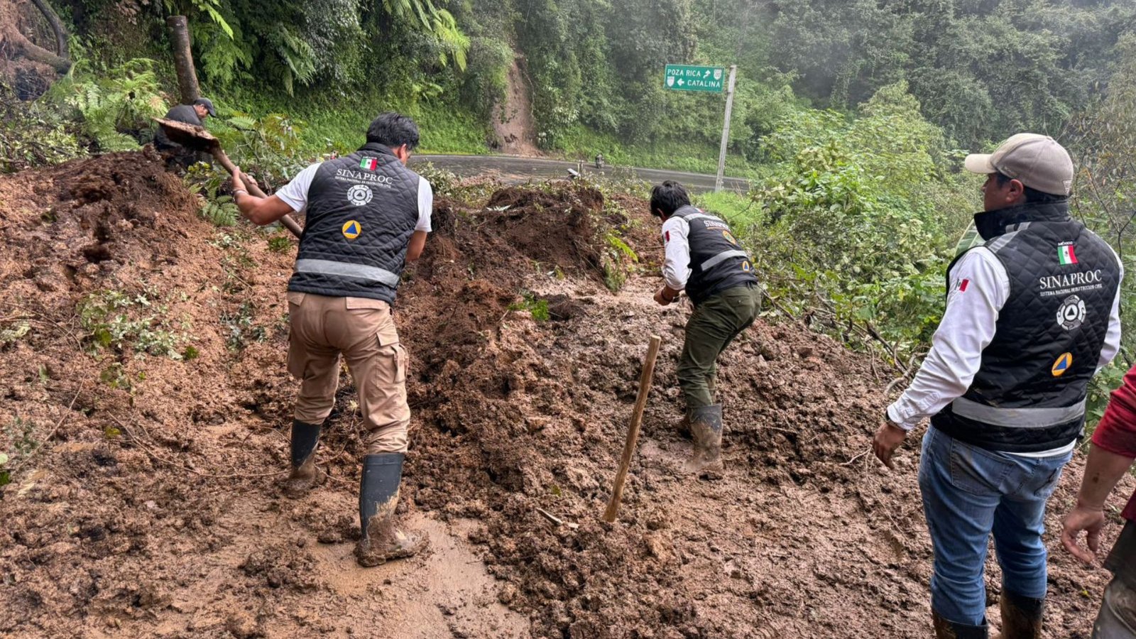 Plecas e informacion - 2025-10-11T181856.154