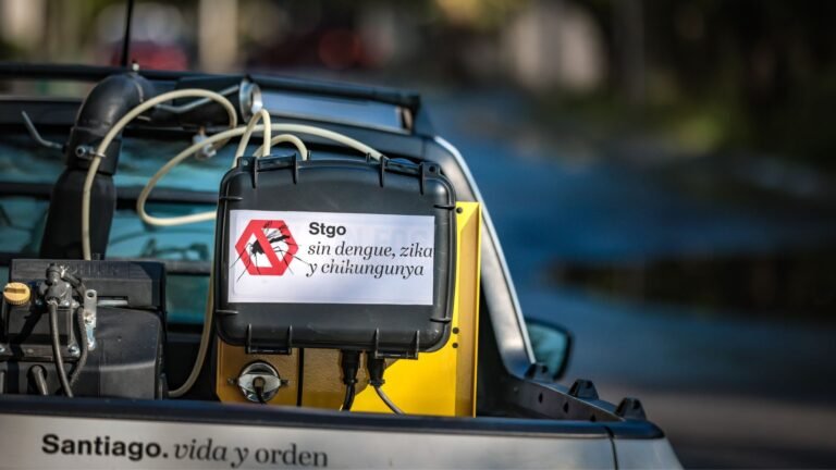 Plecas e informacion - 2025-10-11T184613.166