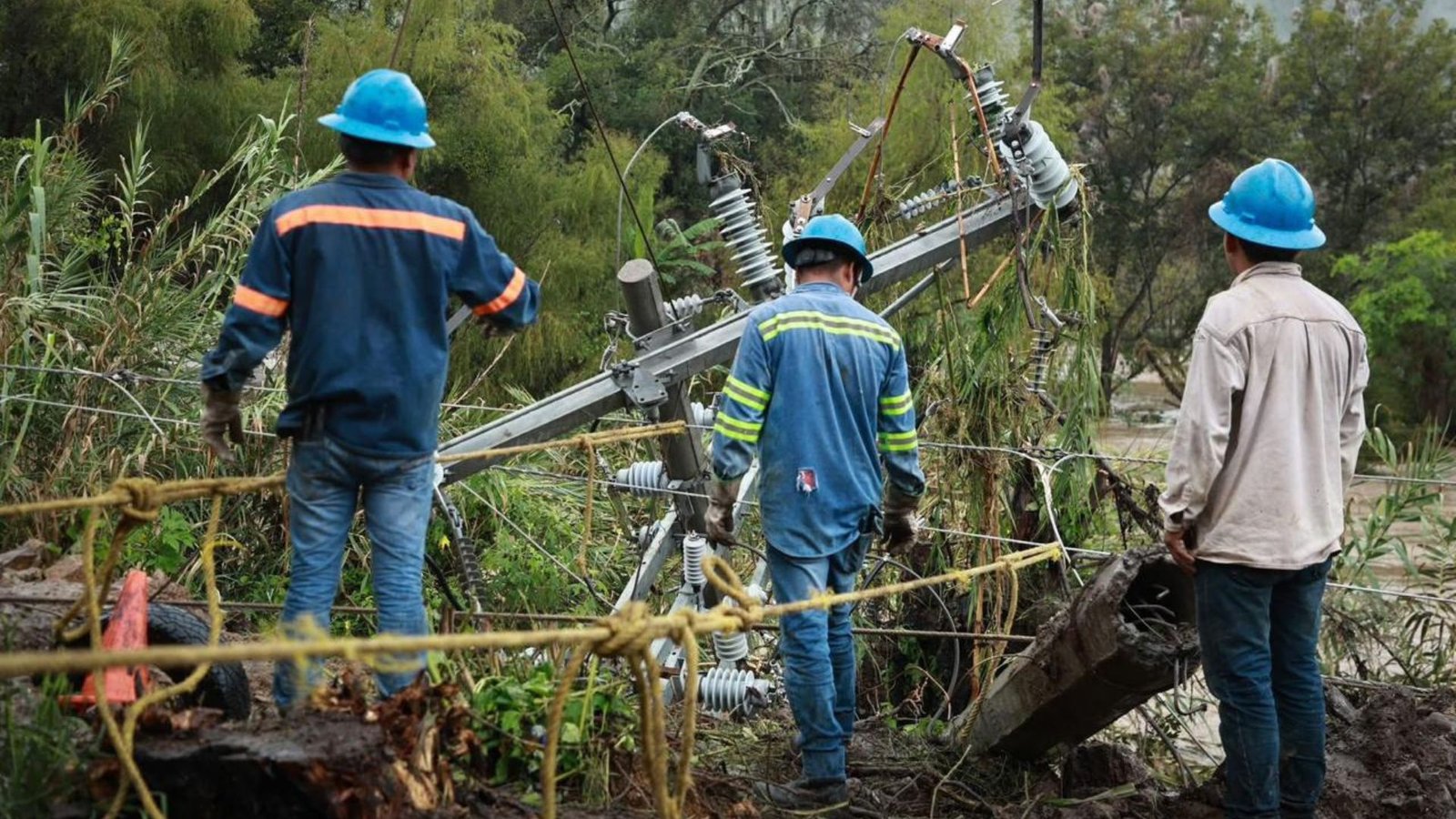 Plecas e informacion - 2025-10-12T120623.784