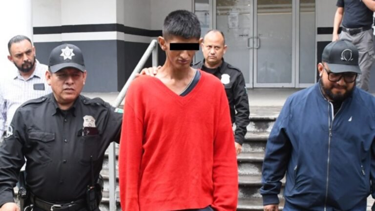 Plecas e informacion - 2025-10-12T124847.738