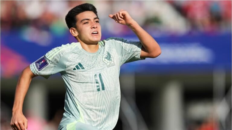 Plecas e informacion - 2025-10-13T181634.345