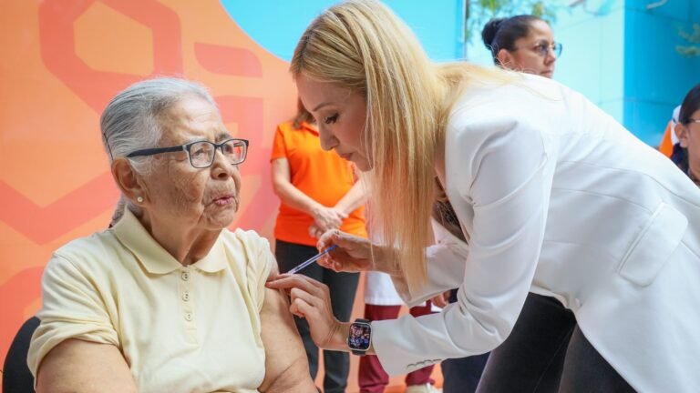 Plecas e informacion - 2025-10-14T163345.620