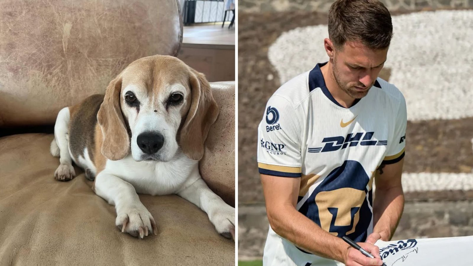 Plecas e informacion - 2025-10-14T182038.669