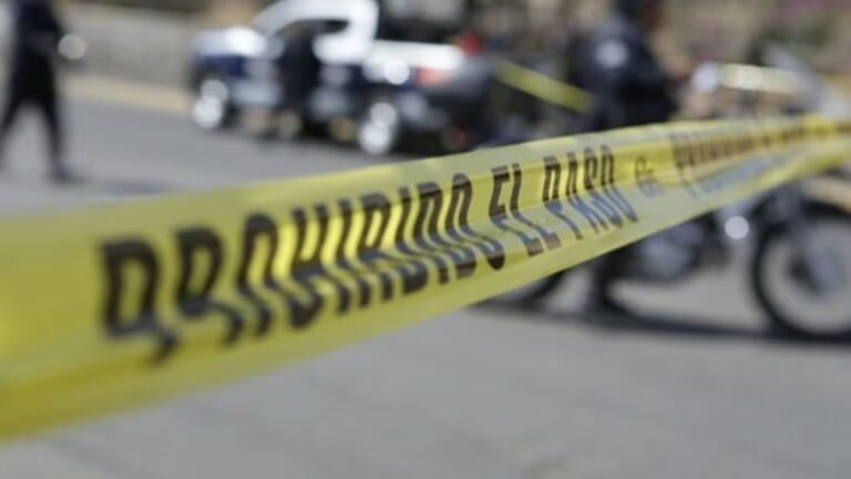 Plecas e informacion - 2025-10-14T195508.560