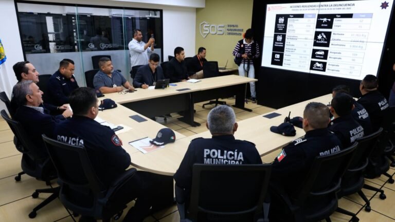 Plecas e informacion - 2025-10-15T164158.502