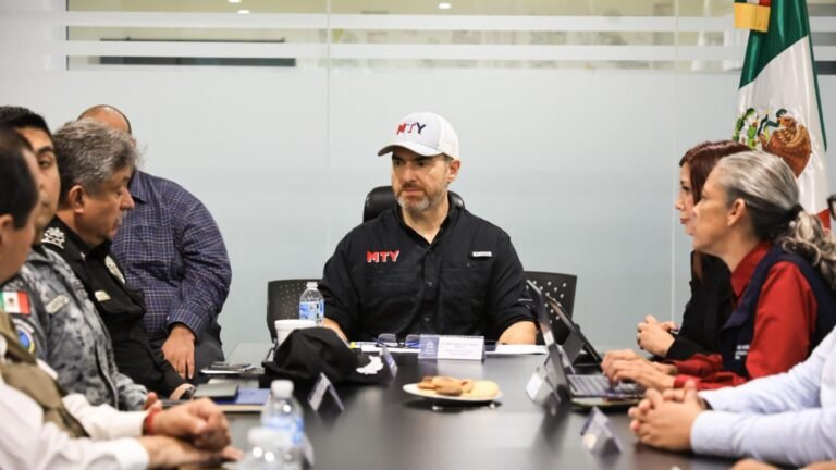 Plecas e informacion - 2025-10-15T164632.745