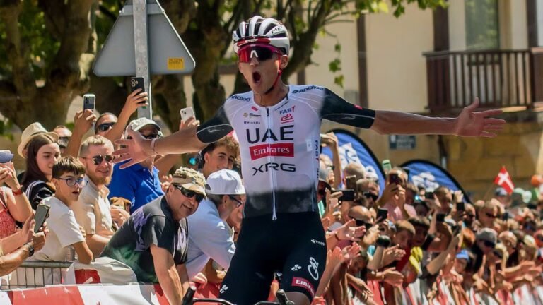 Plecas e informacion - 2025-10-15T183418.765