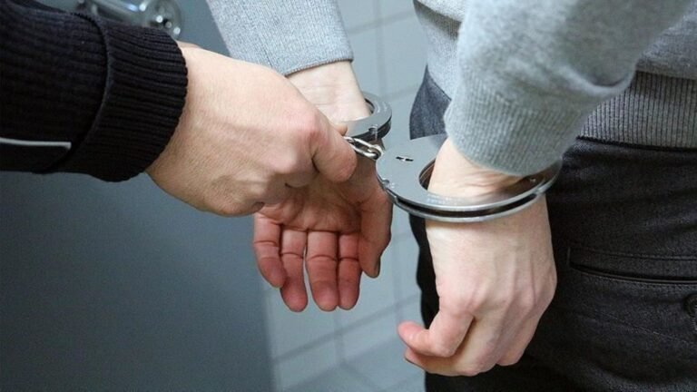 Plecas e informacion - 2025-10-16T173059.981