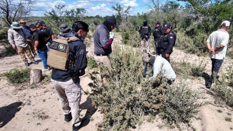 Plecas e informacion - 2025-10-16T184903.953