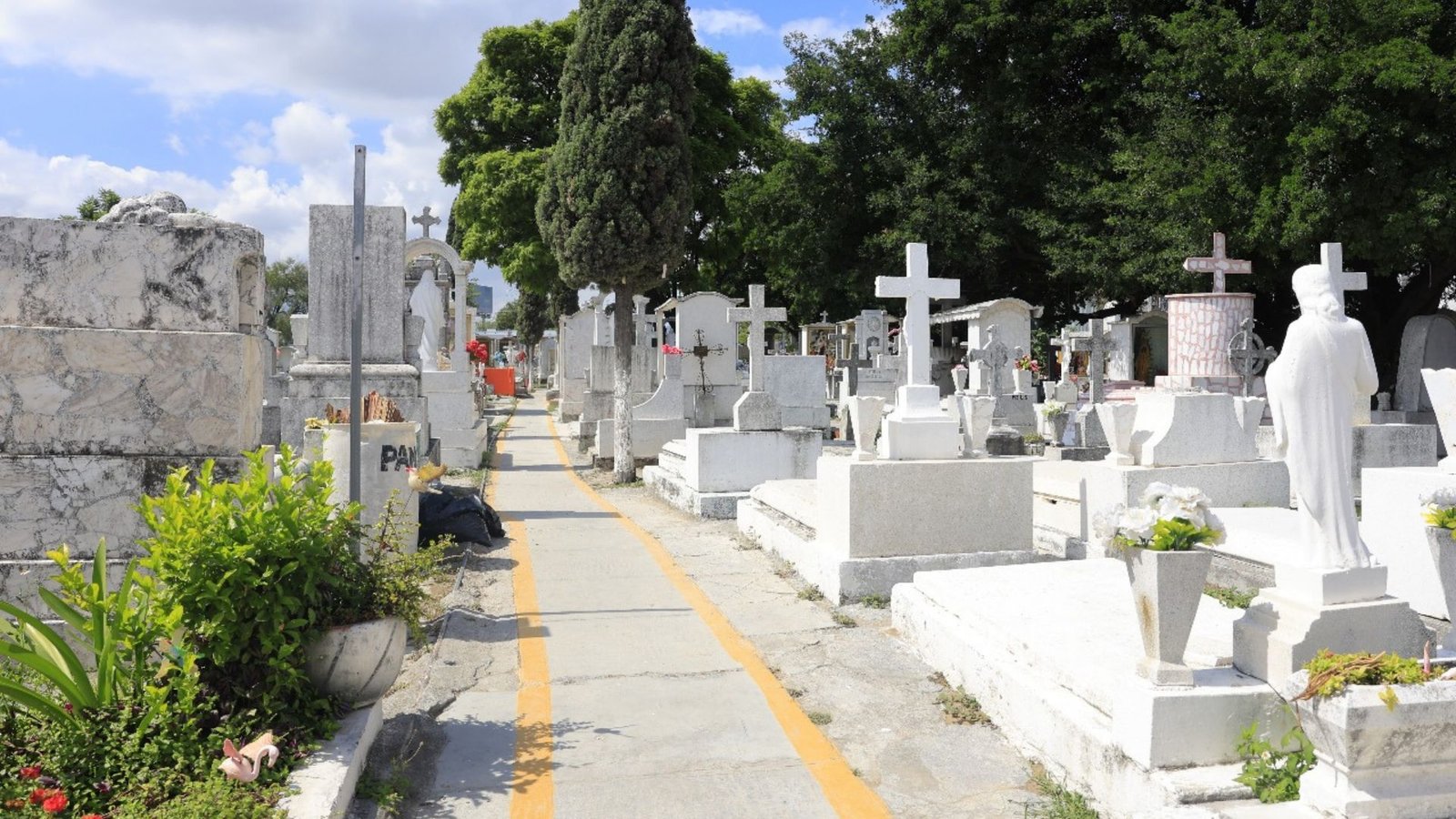 Plecas e informacion - 2025-10-17T165718.469