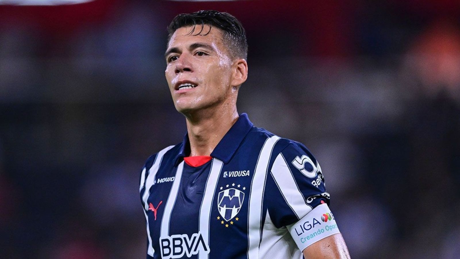 Plecas e informacion - 2025-10-17T203340.965