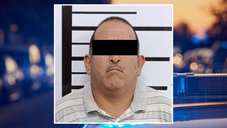 Plecas e informacion - 2025-10-19T144356.631