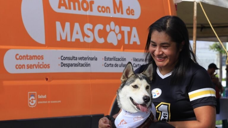 Plecas e informacion - 2025-10-19T171657.553