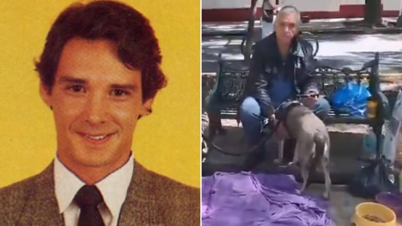 Plecas e informacion - 2025-10-20T212243.240