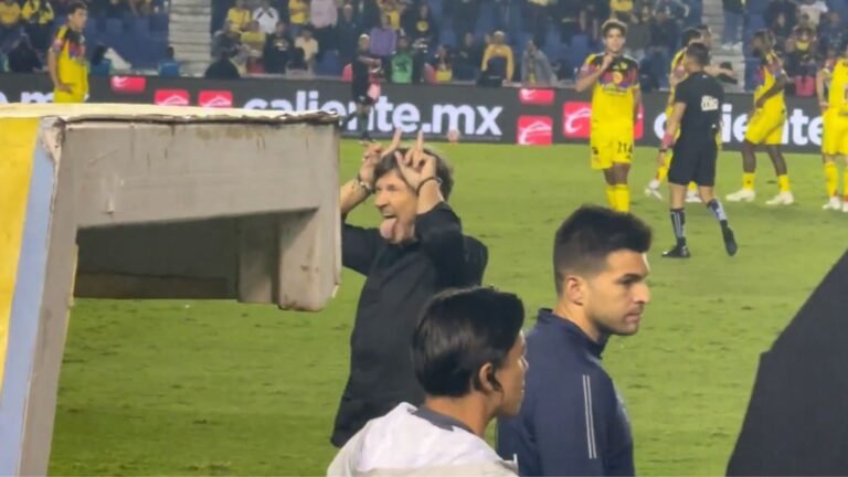 Plecas e informacion - 2025-10-22T133316.353