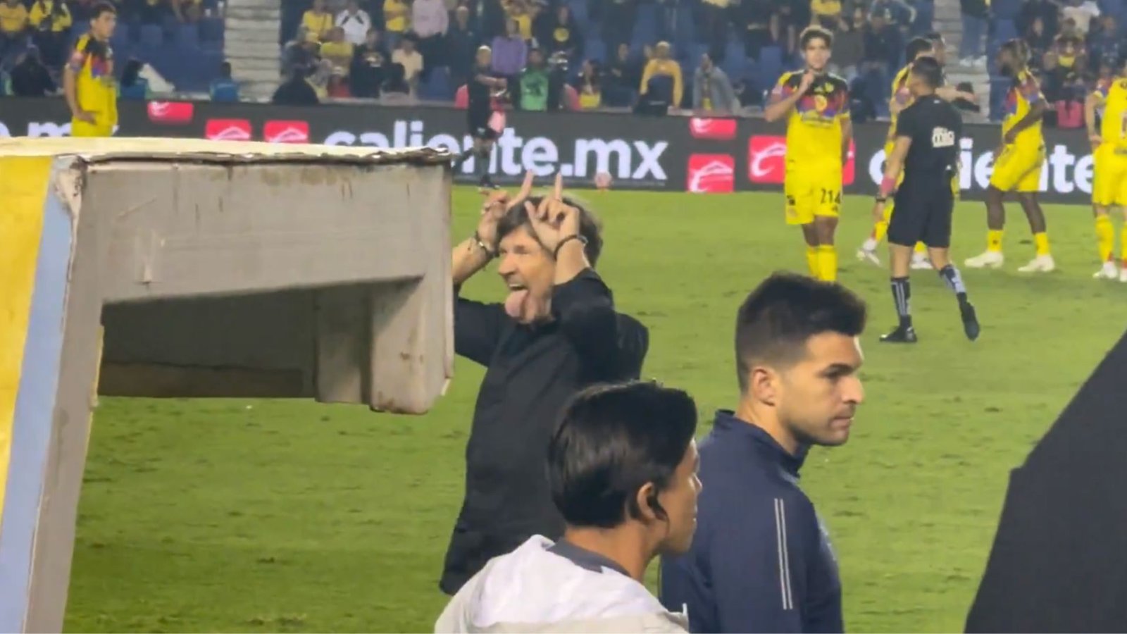 Plecas e informacion - 2025-10-22T133316.353