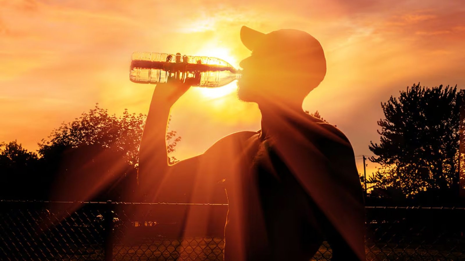 Plecas e informacion - 2025-10-22T161530.597